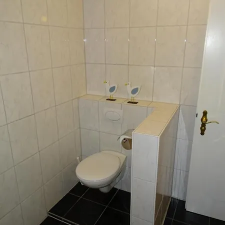 Apartment Ferienwohnungen Zum Saibling *